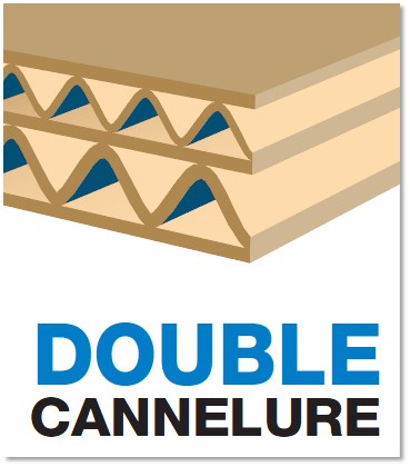 Cannelure de carton double