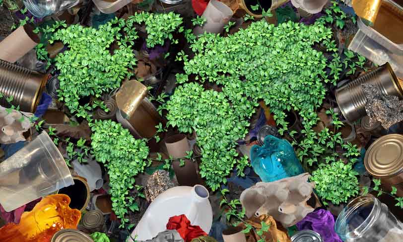 Rajapack zorgt voor duurzame verpakkingen waarmee je je producten en het milieu beschermt