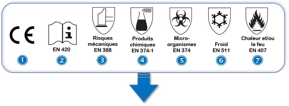 Normes des Gants de Protection - Norme EN 420