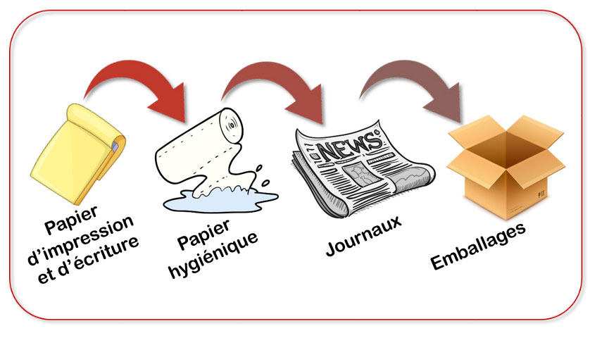 Les étapes du recyclage de papier et de carton