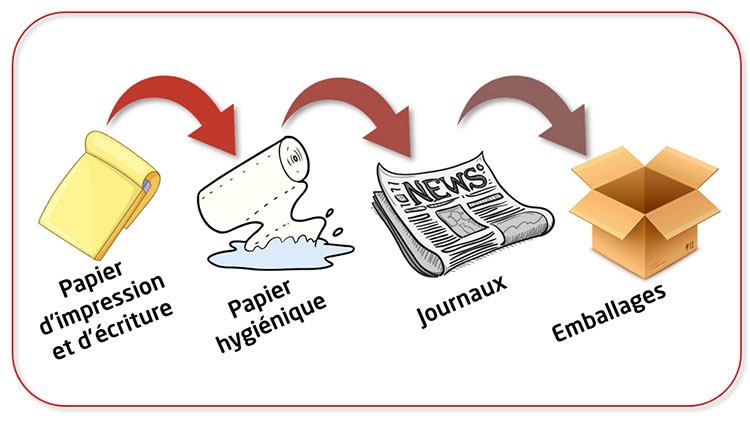 Les étapes du recyclage de papier et de carton