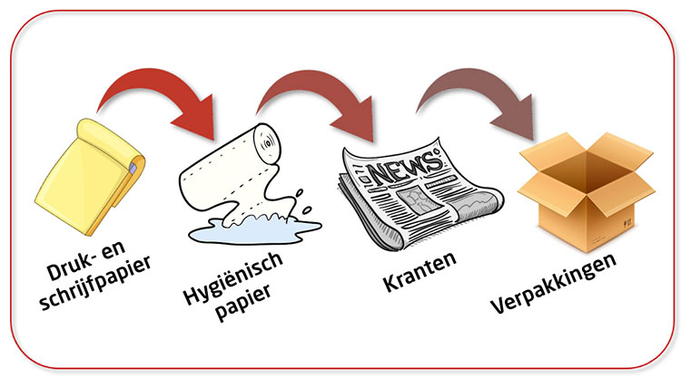 De recyclagecyclus van karton en papier