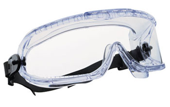 Ruimzichtbril of goggles van RAJA