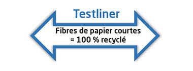 Testliner économique