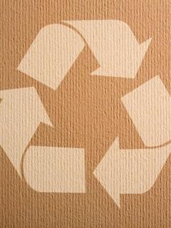astuces pour un emballage et une expédition écologique