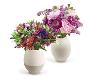 Emballages pour fleurs : vases anti-renversement