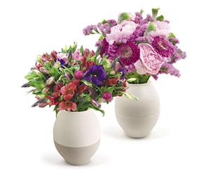 Emballages pour fleurs : vases anti-renversement